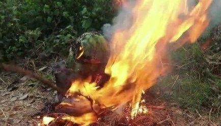 暗黑吃瓜官网入口,带你探索神秘网络世界