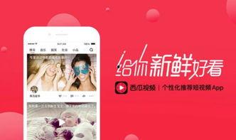 娱乐吃瓜封面如何做视频,揭秘热门内容制作全流程